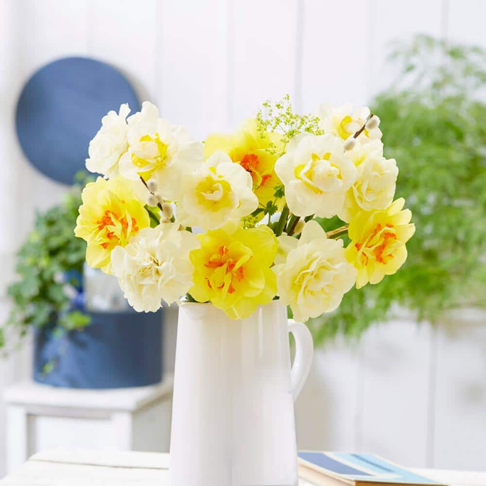14/16 Cm Daffodil Double Mixed Flower Bulbs (Bag Of 100)