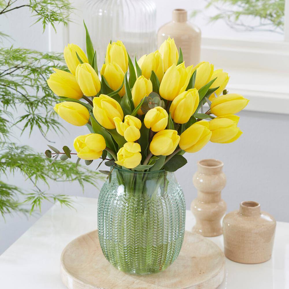 12/+ Cm, Yellow Impression Darwin Hybrid Tulip Flower Bulbs (Bag Of 250)