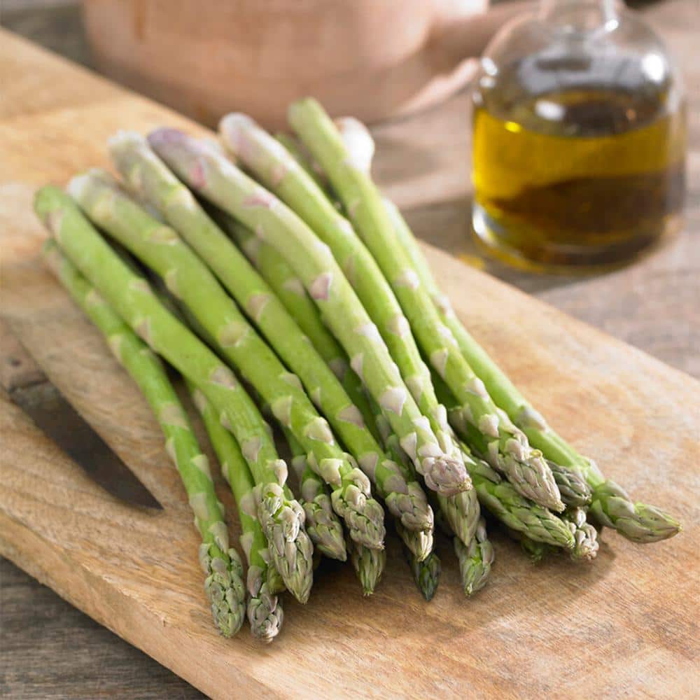 1-Year, Asparagus Mary Washington, Live Bare Root Plant (Bag Of 20)