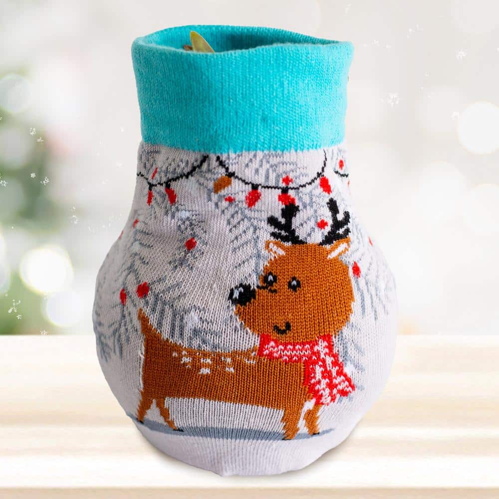  28/30 Cm Minerva Sweater Amaryllis Flower Bulb, Reindeer