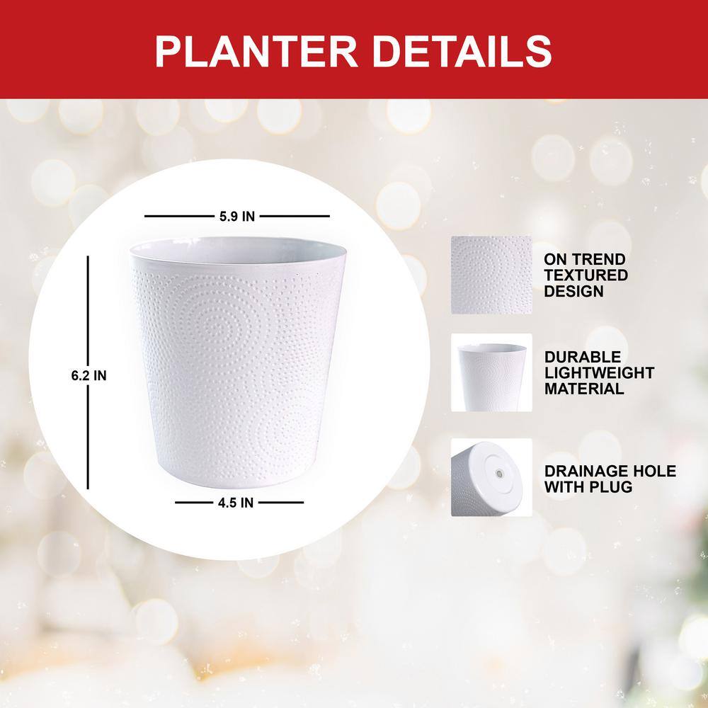  Holiday Red Lion Amaryllis Bulb Gift Kit With 6 In. White Planter, 26/28cm
