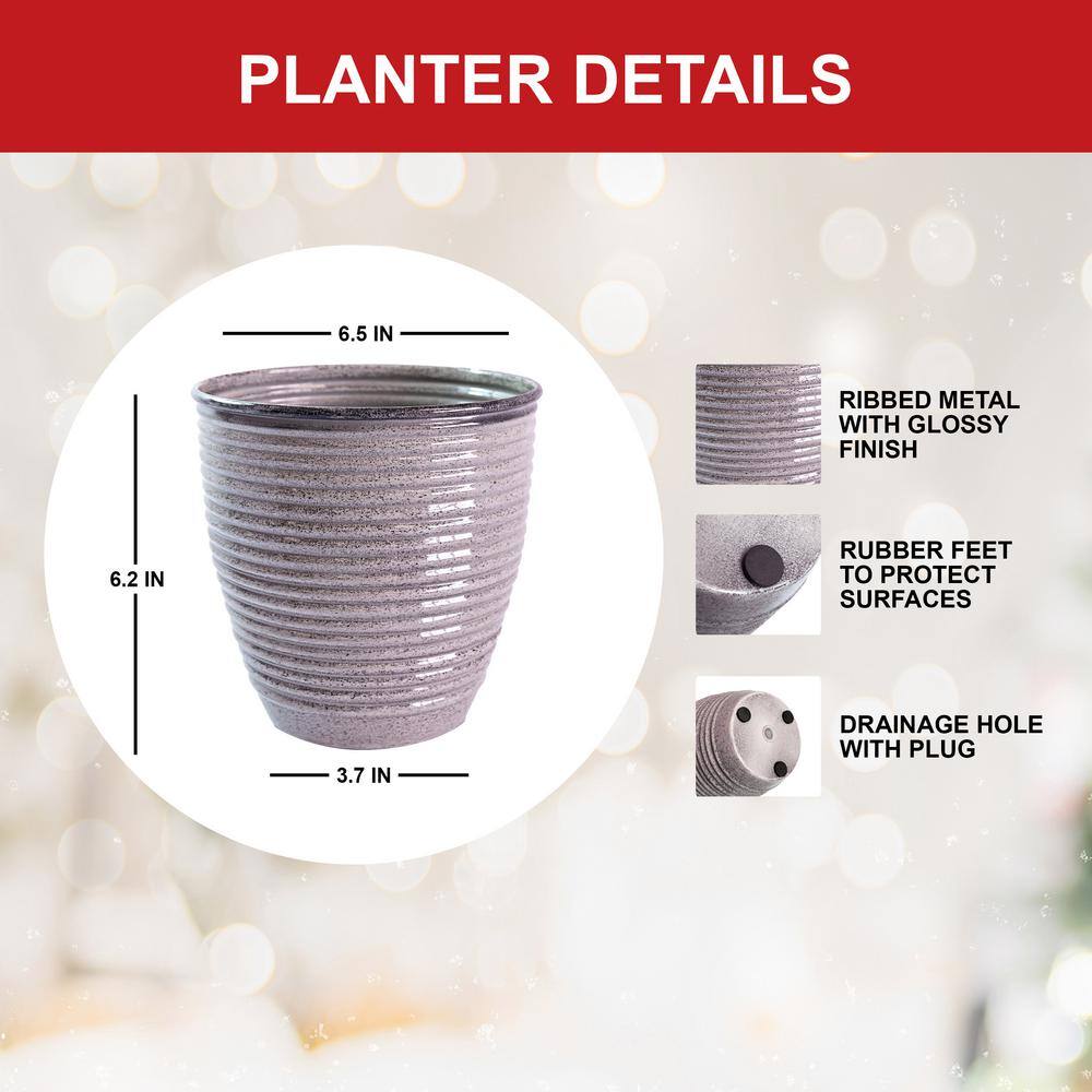  26/28cm, Holiday Minerva Amaryllis Bulb Gift Kit With 6 In. Decorative Planter