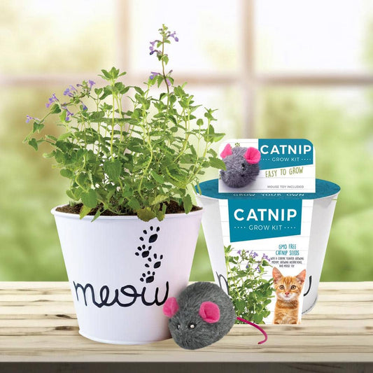  Catnip Herb Grow Kit With Mouse Toy (2-Pack)
