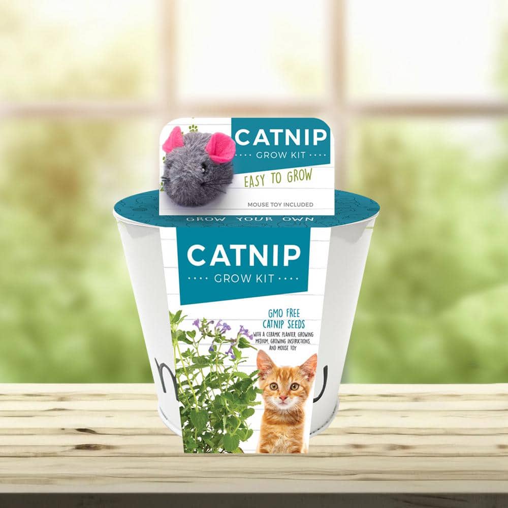  Catnip Herb Grow Kit With Mouse Toy (2-Pack)