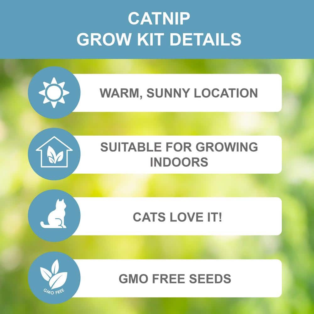  Catnip Herb Grow Kit With Mouse Toy (2-Pack)