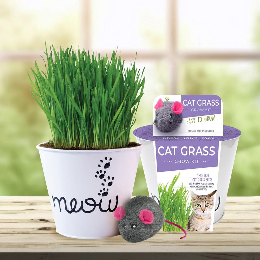  Cat Grass Herb Seed Grow Kit With Mouse Toy (2-Pack)