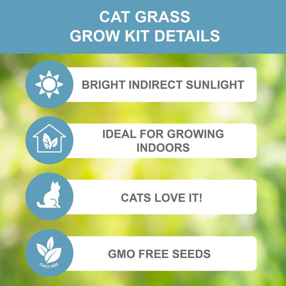  Cat Grass Herb Seed Grow Kit With Mouse Toy (2-Pack)