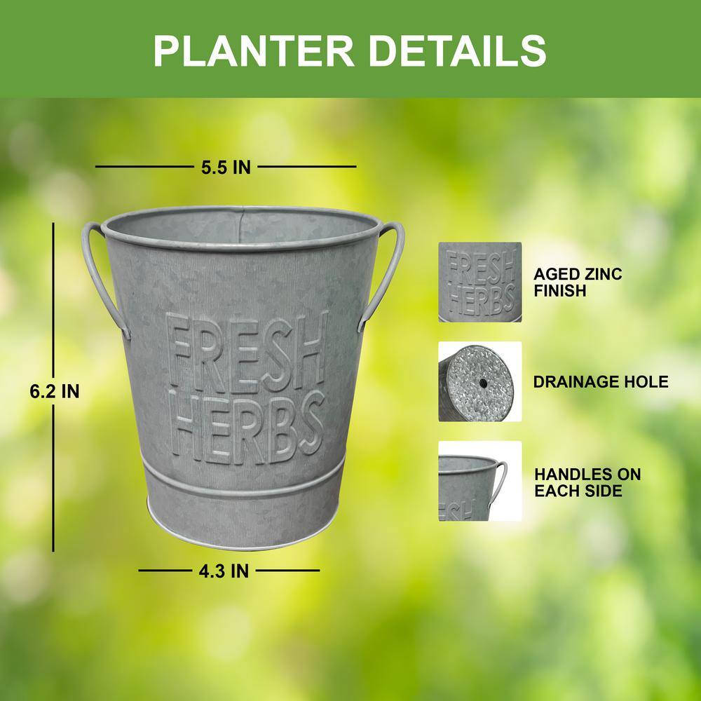  Herb Garden Kit With Aged Zinc Metal Planter (Cat Grass And Cat Nip) (2-Pack)