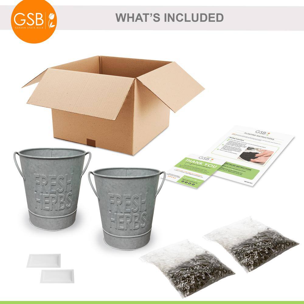  Herb Garden Kit With Aged Zinc Metal Planter (Cat Grass And Cat Nip) (2-Pack)