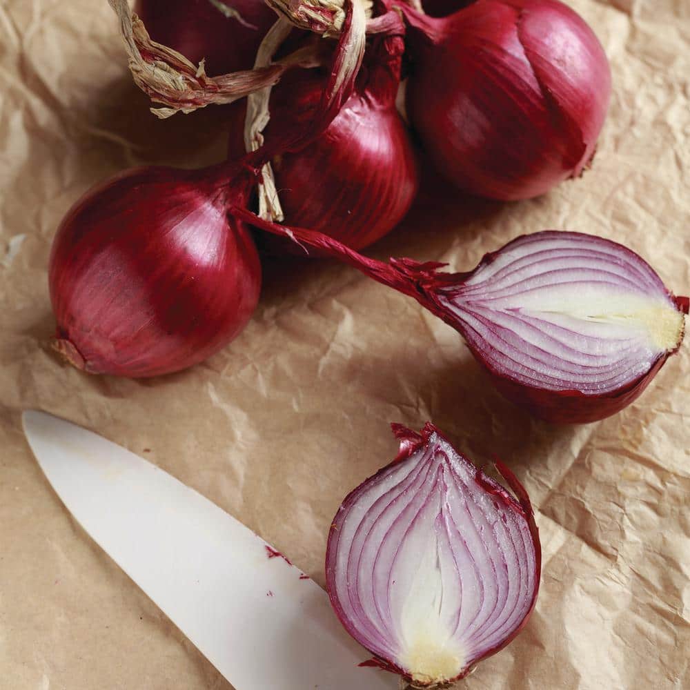  10/25mm, Red Baron Onion Sets For Planting (1 Lbs. Bag)